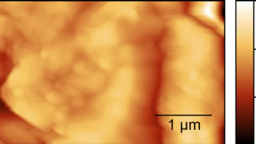 AFM Data