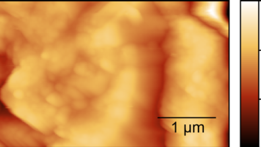 AFM Data